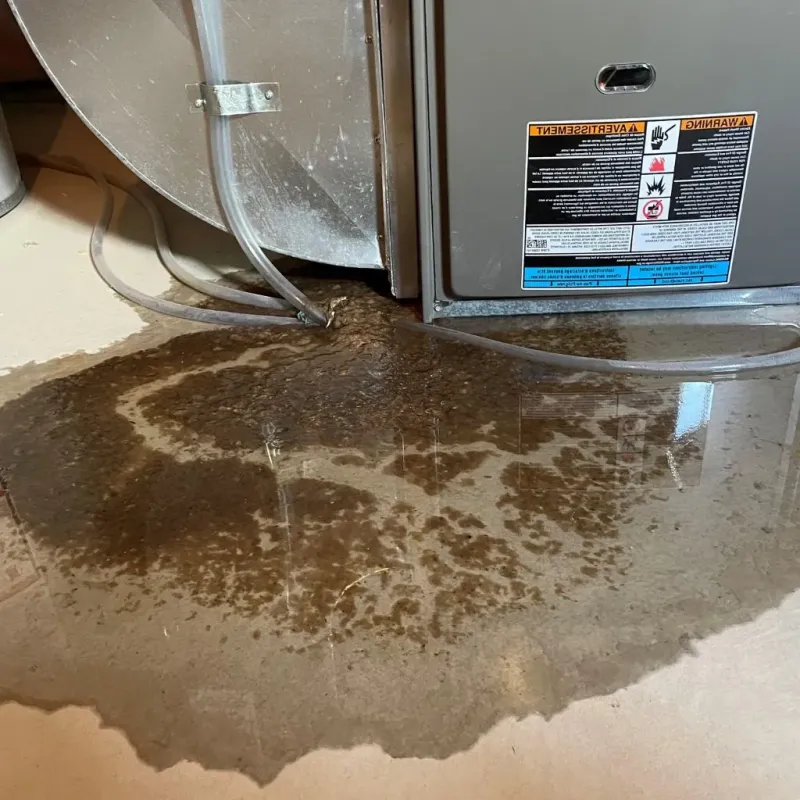 Pipe Burst and Leak Restoration in West Liberty, KY