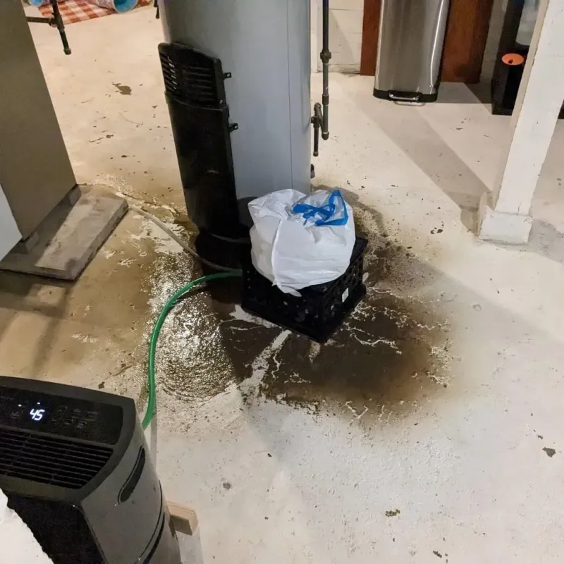 Sewage Backup Cleanup Service in West Liberty, KY